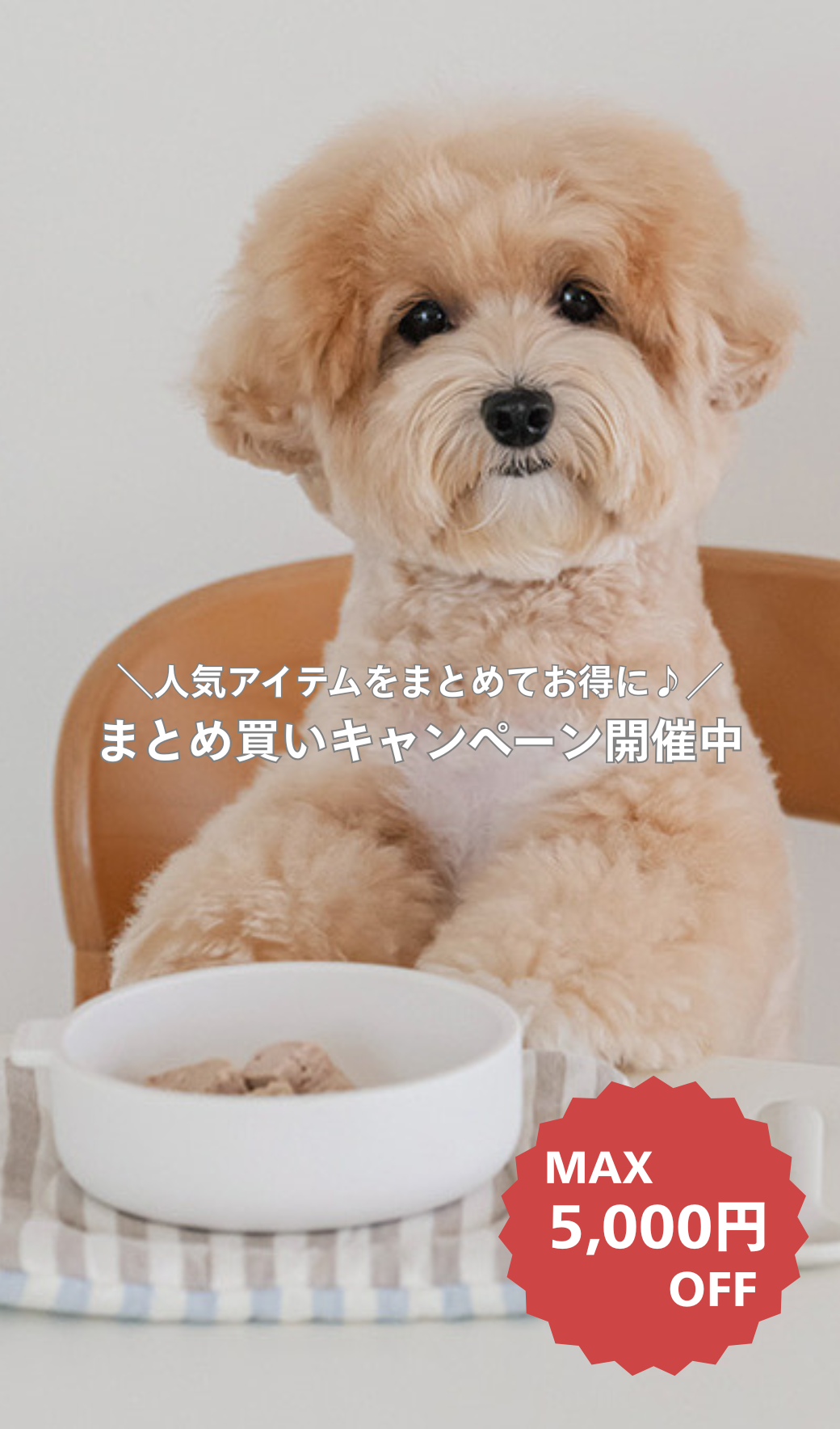 韓国人気ブランド日本正規販売店【NOLANROSS（ノーランロス）】MY